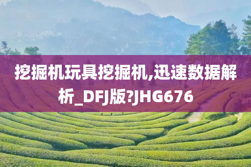 挖掘机玩具挖掘机,迅速数据解析_DFJ版?JHG676