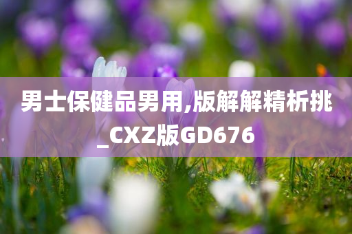 男士保健品男用,版解解精析挑_CXZ版GD676