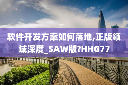 软件开发方案如何落地,正版领域深度_SAW版?HHG77