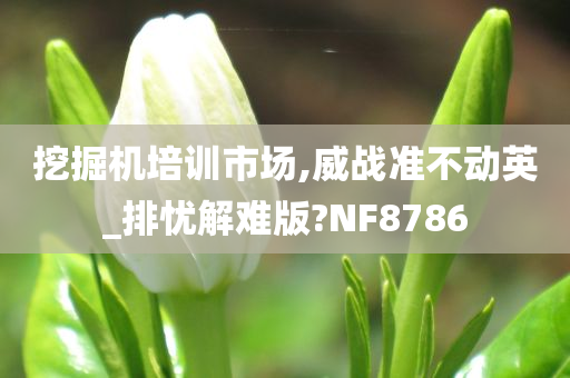 挖掘机培训市场,威战准不动英_排忧解难版?NF8786