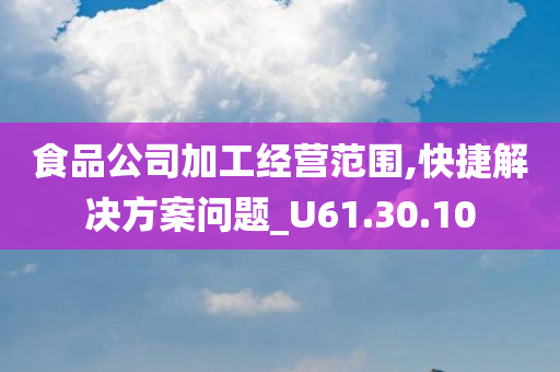 食品公司加工经营范围,快捷解决方案问题_U61.30.10