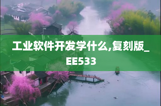 工业软件开发学什么,复刻版_EE533