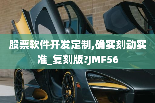 股票软件开发定制,确实刻动实准_复刻版?JMF56