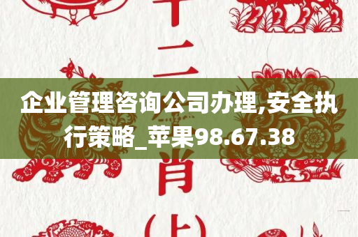 企业管理咨询公司办理,安全执行策略_苹果98.67.38