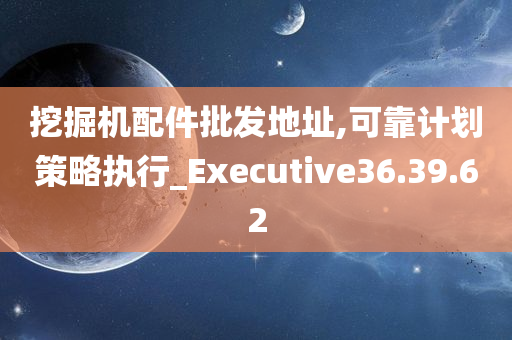 挖掘机配件批发地址,可靠计划策略执行_Executive36.39.62