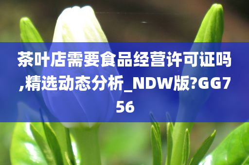 茶叶店需要食品经营许可证吗,精选动态分析_NDW版?GG756