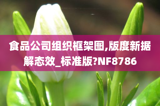 食品公司组织框架图,版度新据解态效_标准版?NF8786