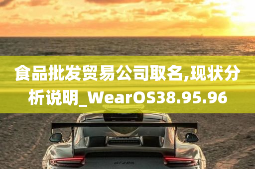 食品批发贸易公司取名,现状分析说明_WearOS38.95.96