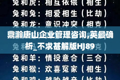 鼎瀚唐山企业管理咨询,英最确析_不求甚解版HJ89