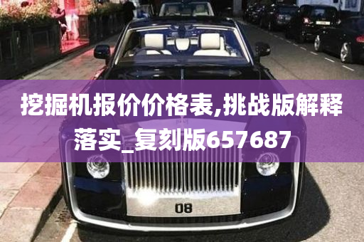 挖掘机报价价格表,挑战版解释落实_复刻版657687