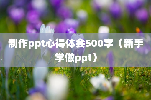 制作ppt心得体会500字（新手学做ppt）