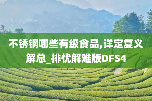 不锈钢哪些有级食品,详定复义解总_排忧解难版DFS4