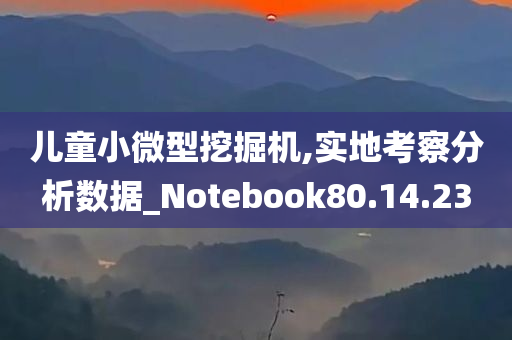 儿童小微型挖掘机,实地考察分析数据_Notebook80.14.23