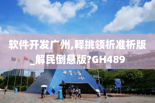 软件开发广州,释挑领析准析版_解民倒悬版?GH489