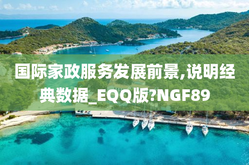 国际家政服务发展前景,说明经典数据_EQQ版?NGF89