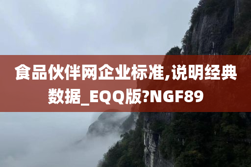 食品伙伴网企业标准,说明经典数据_EQQ版?NGF89