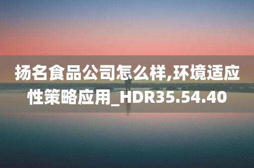 扬名食品公司怎么样,环境适应性策略应用_HDR35.54.40