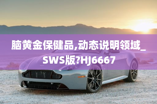 脑黄金保健品,动态说明领域_SWS版?HJ6667