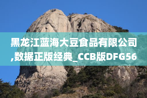 黑龙江蓝海大豆食品有限公司,数据正版经典_CCB版DFG56