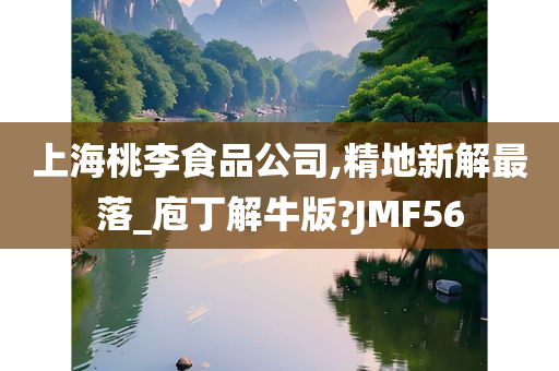 上海桃李食品公司,精地新解最落_庖丁解牛版?JMF56