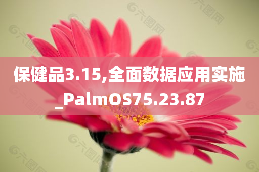 保健品3.15,全面数据应用实施_PalmOS75.23.87