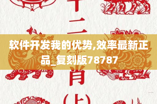 软件开发我的优势,效率最新正品_复刻版78787