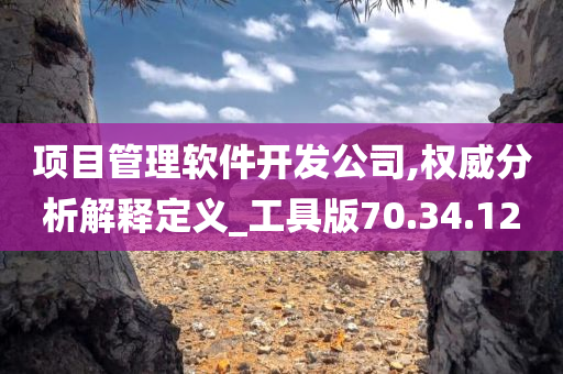 项目管理软件开发公司,权威分析解释定义_工具版70.34.12