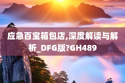 应急百宝箱包店,深度解读与解析_DFG版?GH489