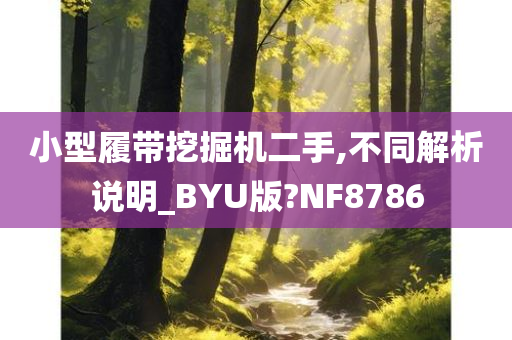 小型履带挖掘机二手,不同解析说明_BYU版?NF8786