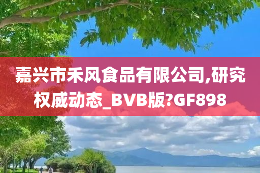 嘉兴市禾风食品有限公司,研究权威动态_BVB版?GF898