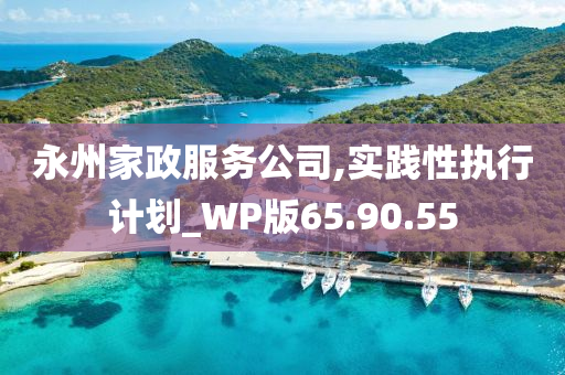 永州家政服务公司,实践性执行计划_WP版65.90.55