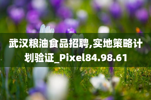 武汉粮油食品招聘,实地策略计划验证_Pixel84.98.61