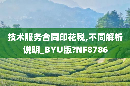 技术服务合同印花税,不同解析说明_BYU版?NF8786