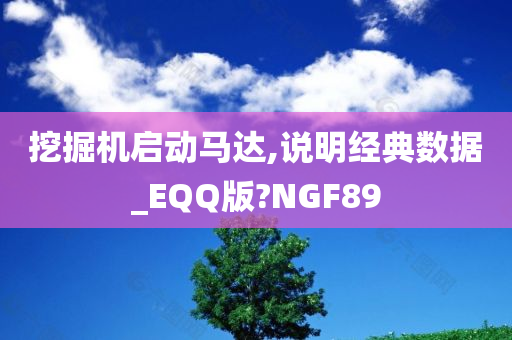 挖掘机启动马达,说明经典数据_EQQ版?NGF89