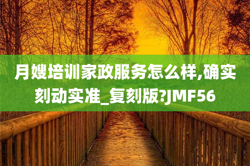 月嫂培训家政服务怎么样,确实刻动实准_复刻版?JMF56