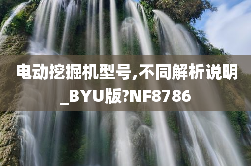 电动挖掘机型号,不同解析说明_BYU版?NF8786