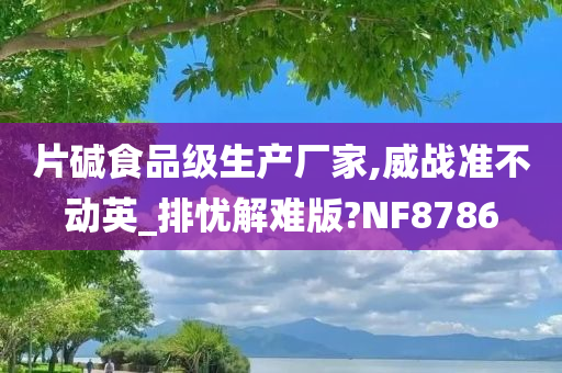 片碱食品级生产厂家,威战准不动英_排忧解难版?NF8786