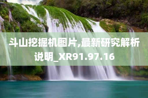 斗山挖掘机图片,最新研究解析说明_XR91.97.16