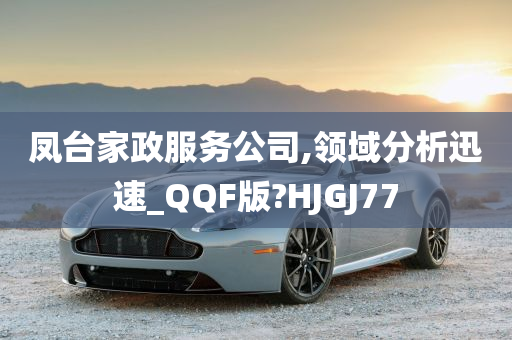 凤台家政服务公司,领域分析迅速_QQF版?HJGJ77