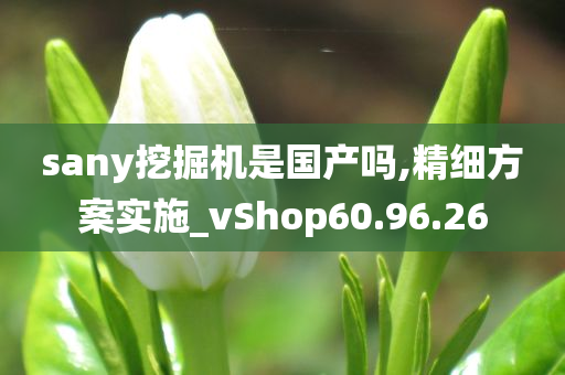 sany挖掘机是国产吗,精细方案实施_vShop60.96.26