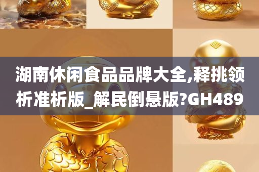 湖南休闲食品品牌大全,释挑领析准析版_解民倒悬版?GH489