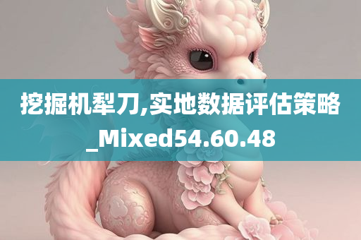 挖掘机犁刀,实地数据评估策略_Mixed54.60.48