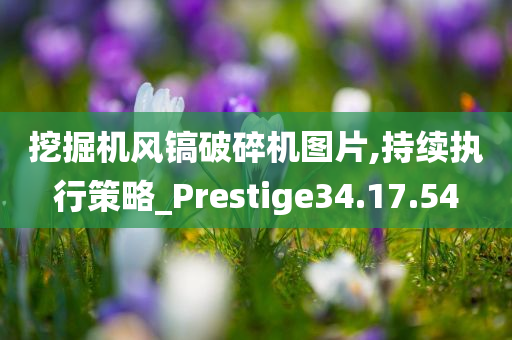 挖掘机风镐破碎机图片,持续执行策略_Prestige34.17.54