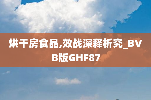 烘干房食品,效战深释析究_BVB版GHF87