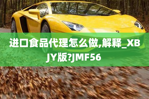 进口食品代理怎么做,解释_XBJY版?JMF56