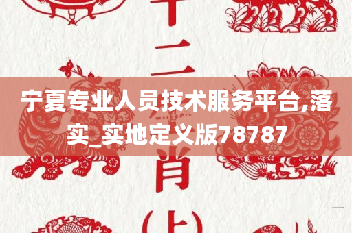 宁夏专业人员技术服务平台,落实_实地定义版78787