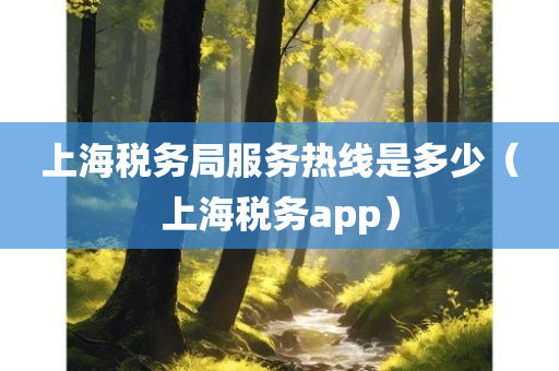 上海税务局服务热线是多少（上海税务app）