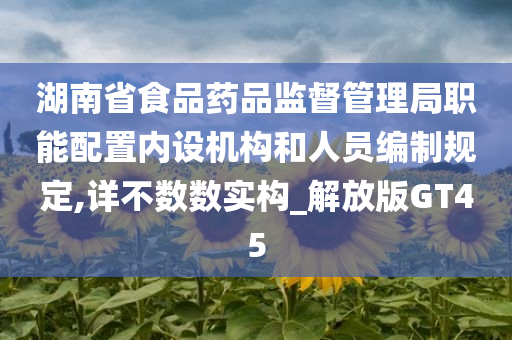 湖南省食品药品监督管理局职能配置内设机构和人员编制规定,详不数数实构_解放版GT45