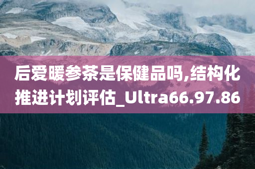 后爱暖参茶是保健品吗,结构化推进计划评估_Ultra66.97.86