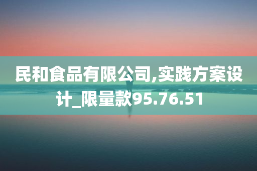 民和食品有限公司,实践方案设计_限量款95.76.51